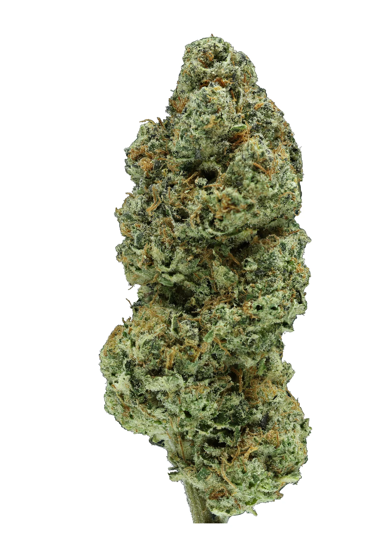 Cereal Milk THCa Flower