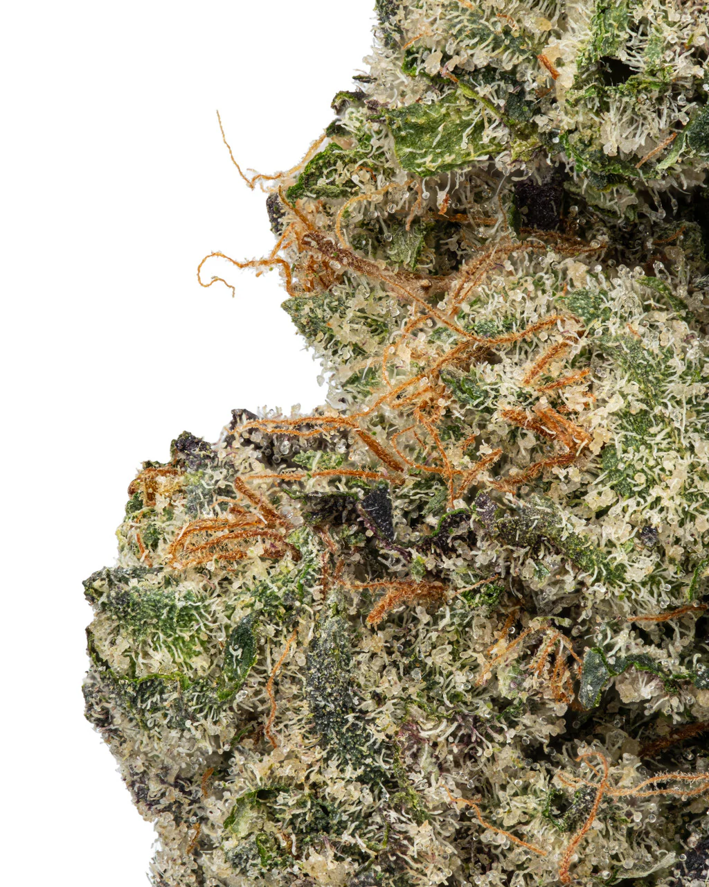 Gary Payton THCa Flower