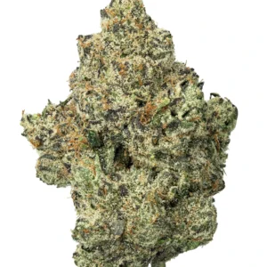 Gelato Z THCa Flower