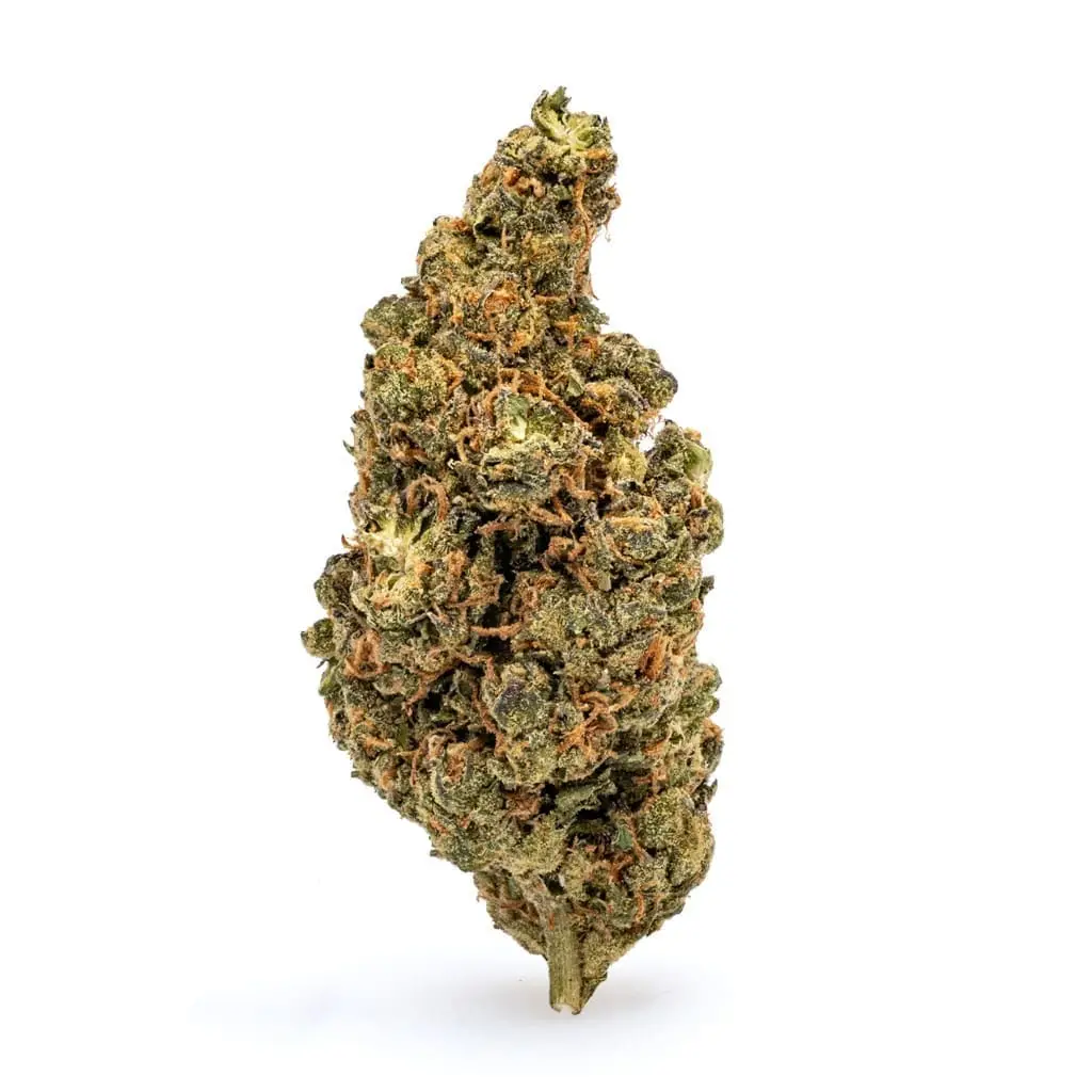 Amnesia Haze THCa Flower