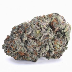 GMO Cookies (Garlic Cookies) THCa Flower