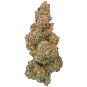 Biscotti Trop THCa Flower