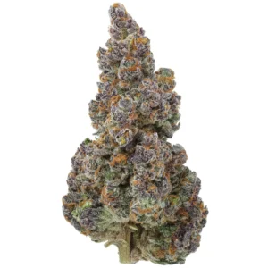 Rainbow Rose THCa Flower