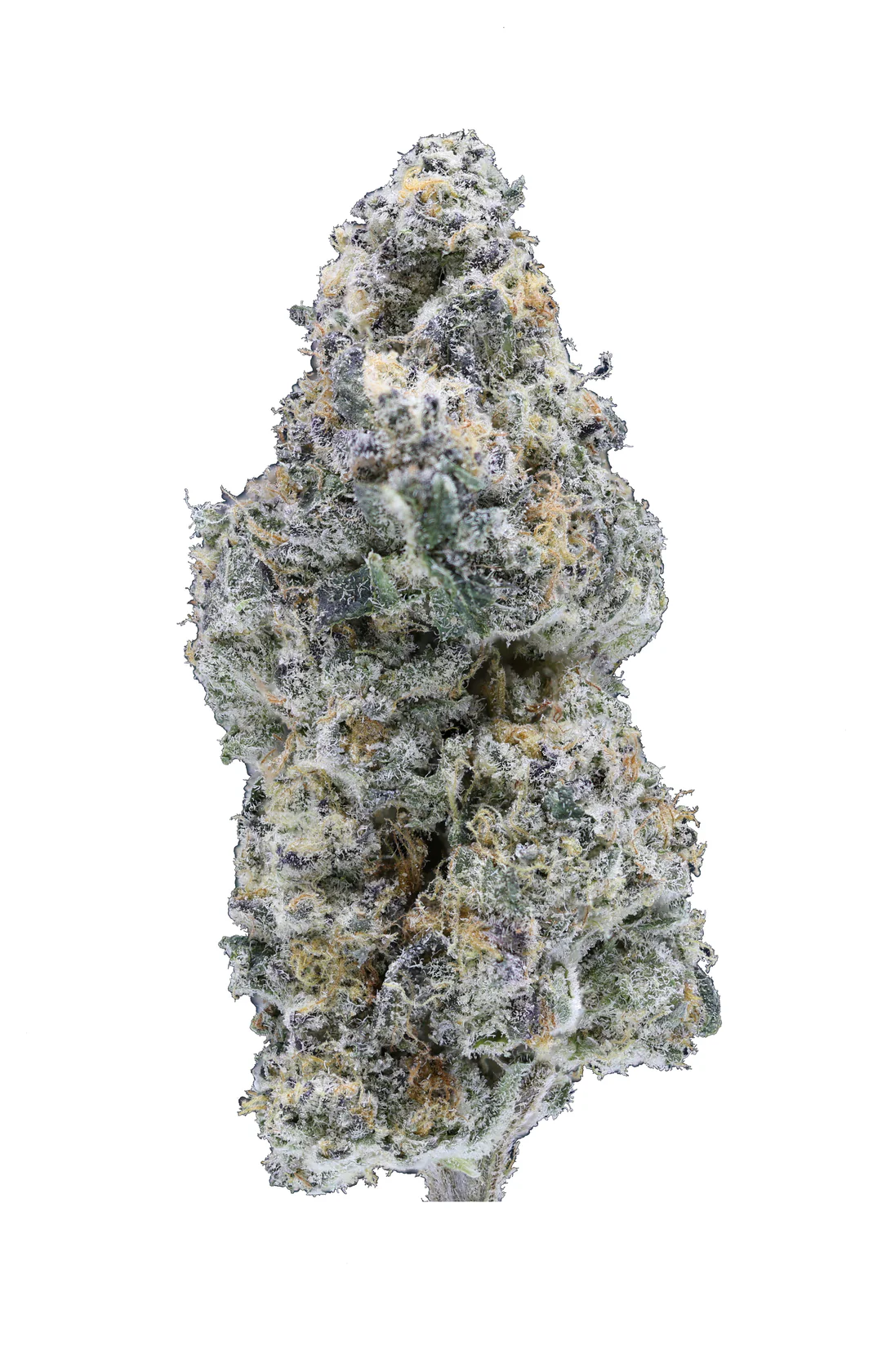 Georgia Pie THCa Flower