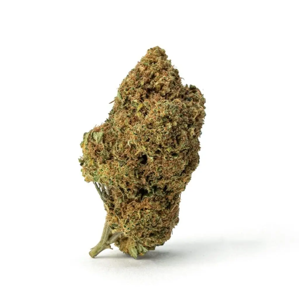 Sex Panther THCa Flower