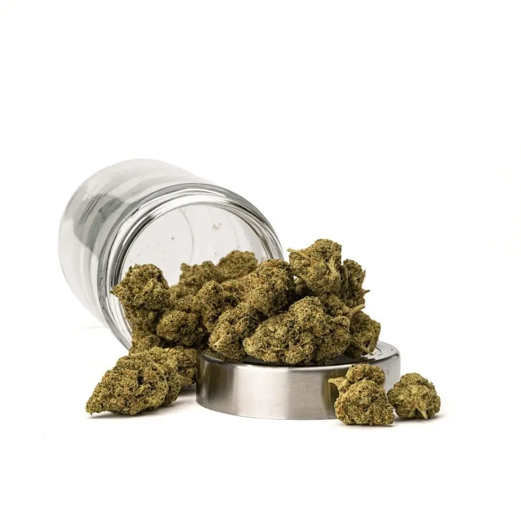 Sex Panther THCa Flower