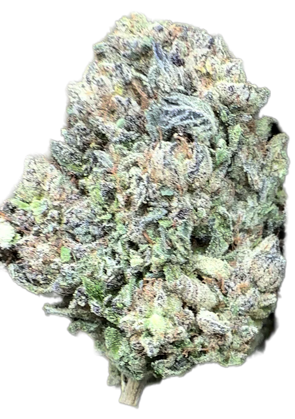 Jet Fuel (G6) THCa Flower