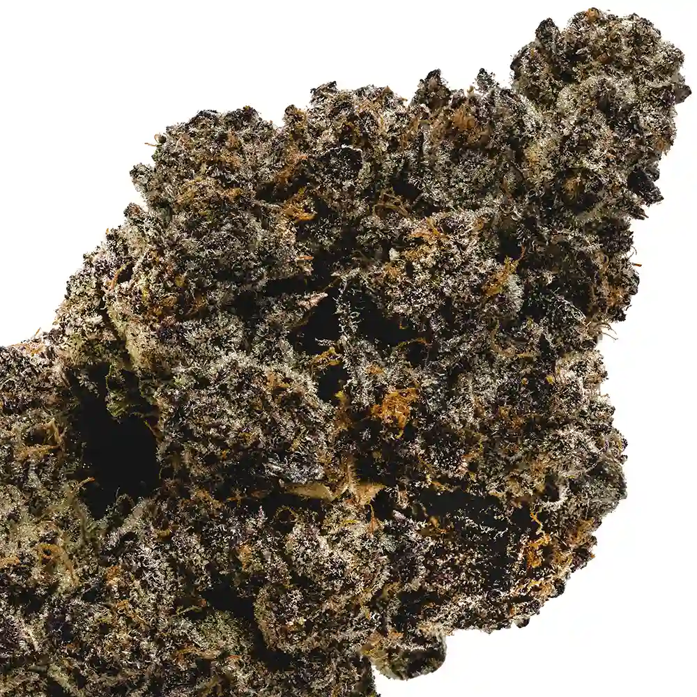 RS11 (Rainbow Sherbet #11) THCa Flower