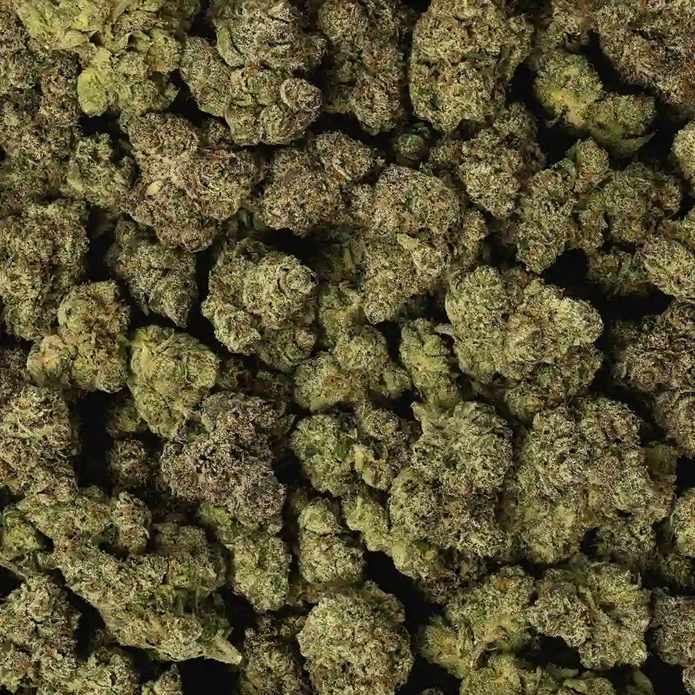 White Runtz THCa Flower