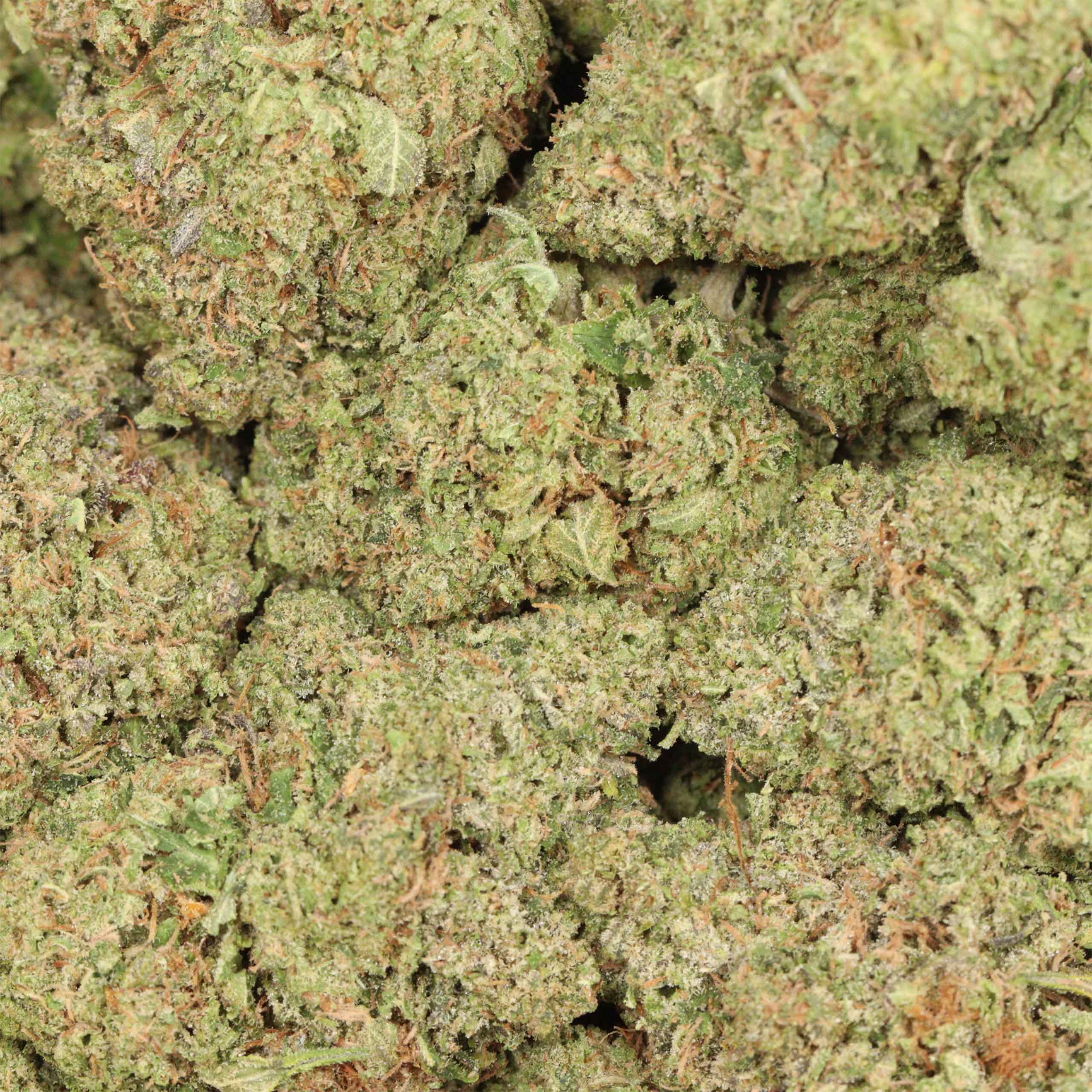 Pink Rozay THCa Flower