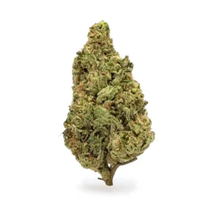Acapulco Gold THCa Flower