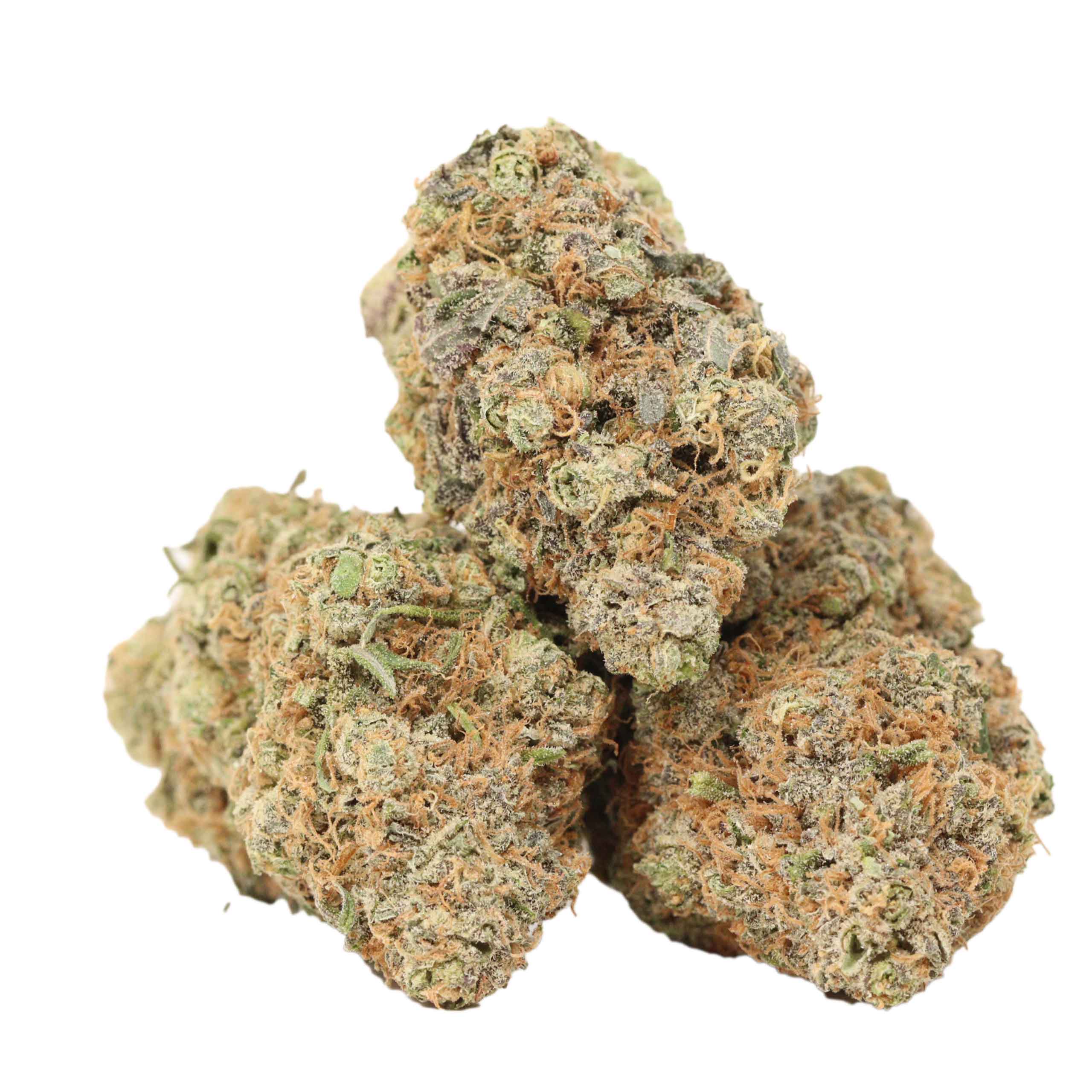 Thin Mint Girl Scout Cookies (Thin Mint) THCa Flower