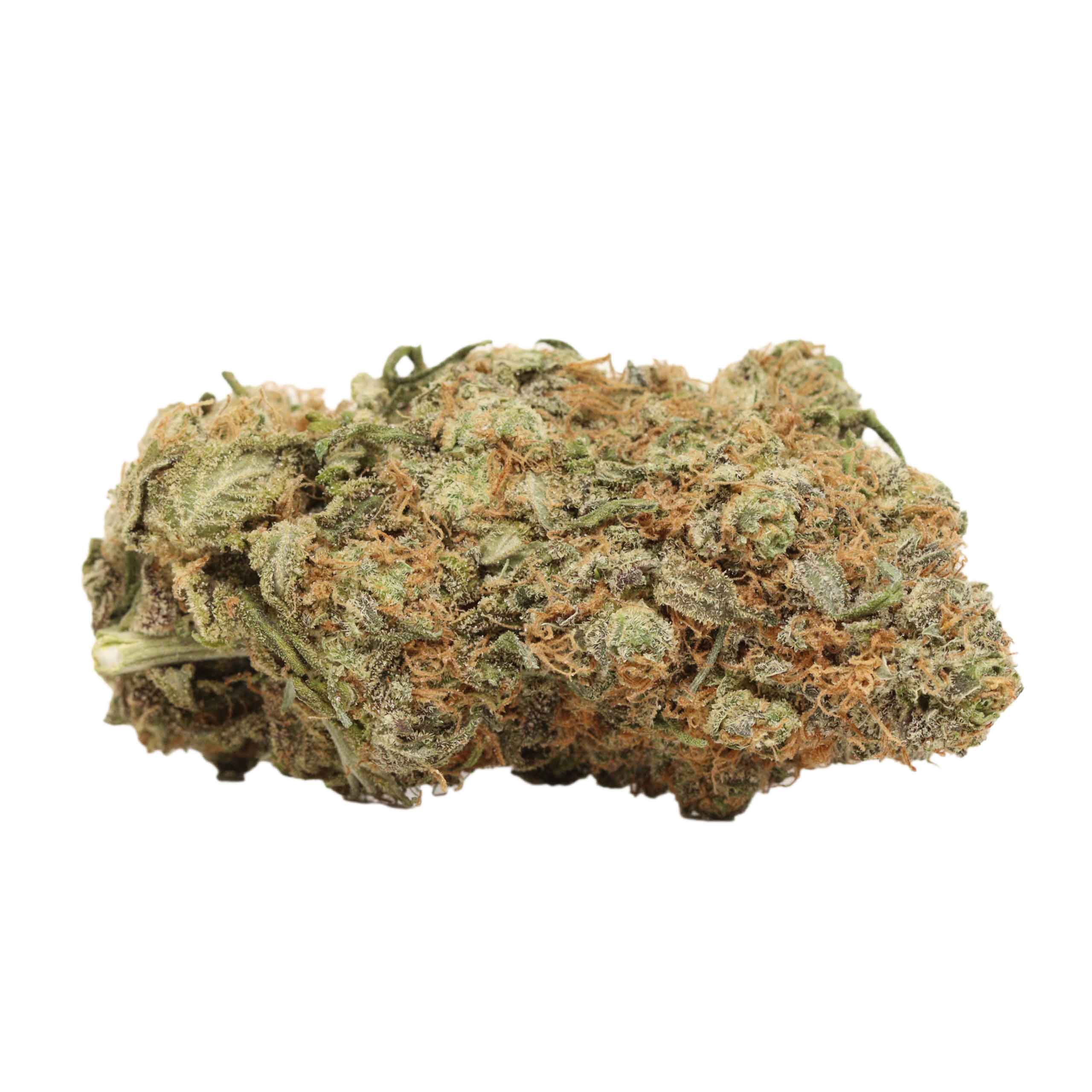 Thin Mint Girl Scout Cookies (Thin Mint) THCa Flower