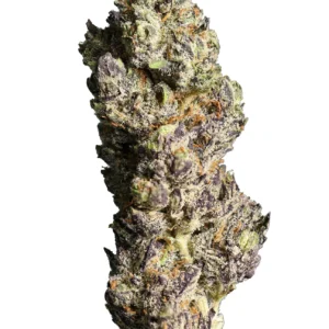 White Truffle THCa Flower