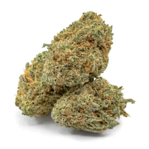 Kush Mints THCa Flower